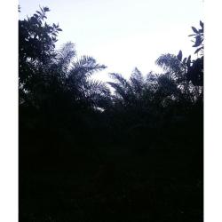 Fincas en venta, monte plata!!