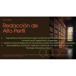 Especialista en Redacción Académica y Técnica - Alto Perfil