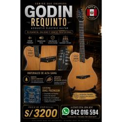 Requinto Profesional Godin A10