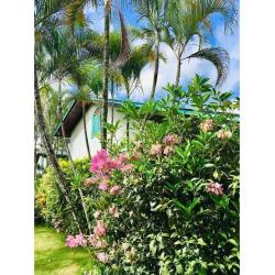 Villa paradisiaca en las terrenas de alquiler!!!