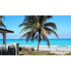  Si buscas Me Encanta El Caribe!!! puedes comprarlo con IN EXCELSIS NET está en venta al mejor precio