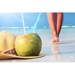 Si buscas Ya tienes tu Ticket para viajar a Republica Dominicana? puedes comprarlo ya, está en venta en Republica Dominicana