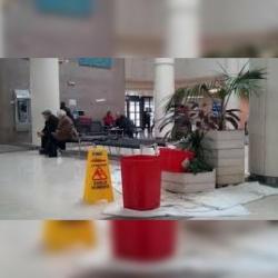  Si buscas Lluvias, goteras, filtraciones? Resuelvelo YA! puedes comprarlo con Diane está en venta al mejor precio