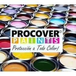  Si buscas Pinturas para remodelar, cambiar fachada! puedes comprarlo con Diane está en venta al mejor precio