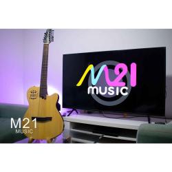 Gran Oferta Requinto Godin