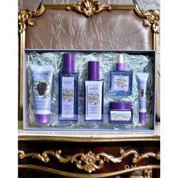 KIT DE LUJO CUIDADO FACIAL ARÁNDANOS Rutina Antioxidante SADÕER 6 Pasos