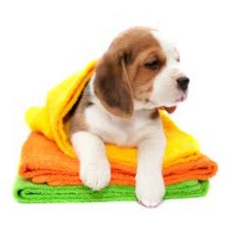  Si buscas ¡ Toalla Microfibra Ultra Absorbente Para Baño De Mascota !! puedes comprarlo con APRECIOSDEREMATE está en venta al mejor precio