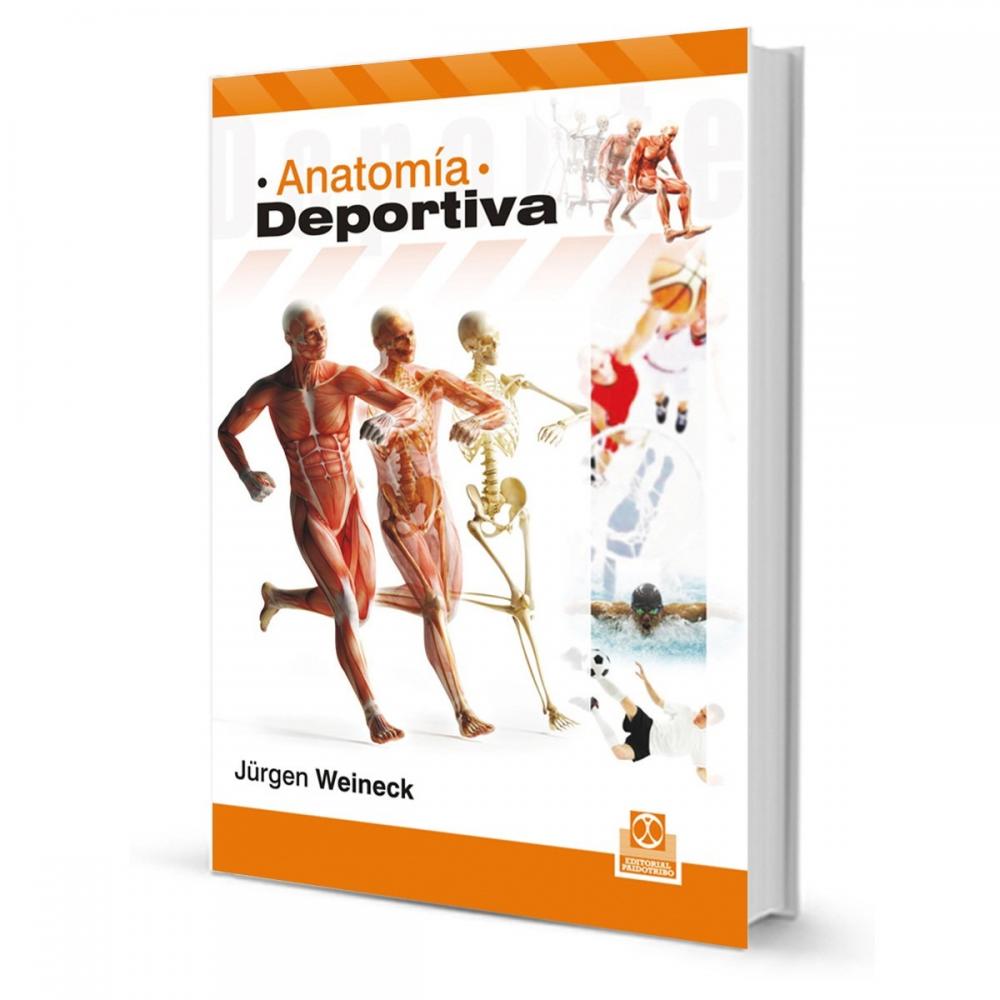  Si buscas Libro Anatomia Deportiva Jürgen Weineck - El Rey puedes comprarlo con REYDELENTRETENIMIENT está en venta al mejor precio