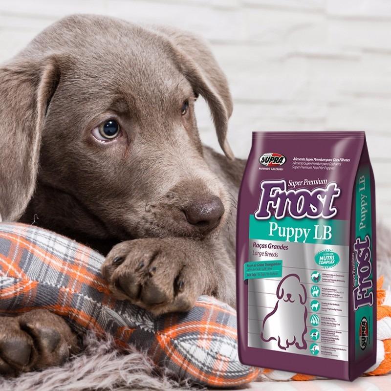  Si buscas Comida Perros Frost Cachorros Razas Grandes 17kgs + Regalo puedes comprarlo con ELECTROVENTAS ONLINE está en venta al mejor precio