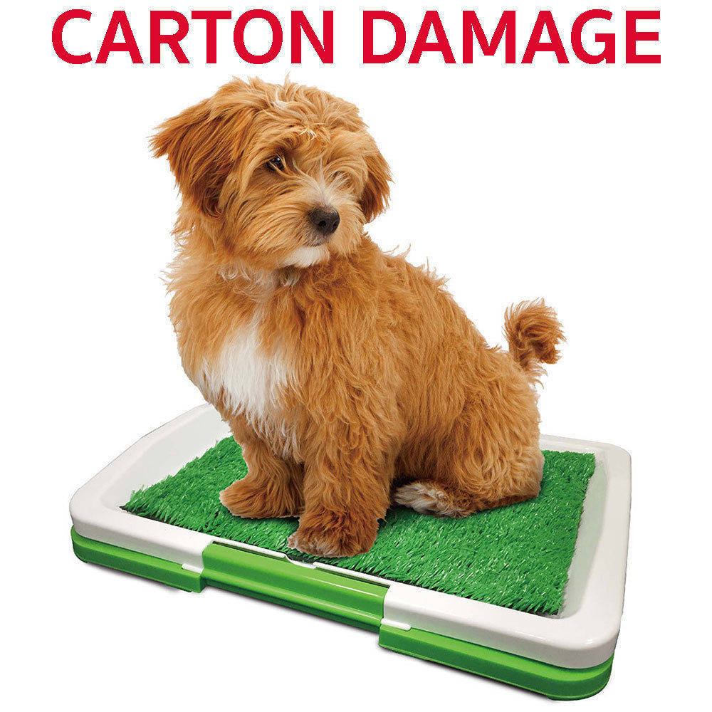 If you are looking Potty Pad Indoor Pet Bathroom/Restroom Dog/Puppy Toilet Training Grass Patch/Mat you can buy to KG Electronic, It is on sale at the best price