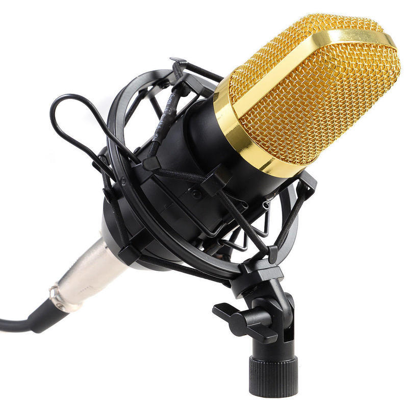If you are looking COSTWAY Professional Audio Condenser Mic Microphone Studio Sound w/ Shock Mount you can buy to costway, It is on sale at the best price