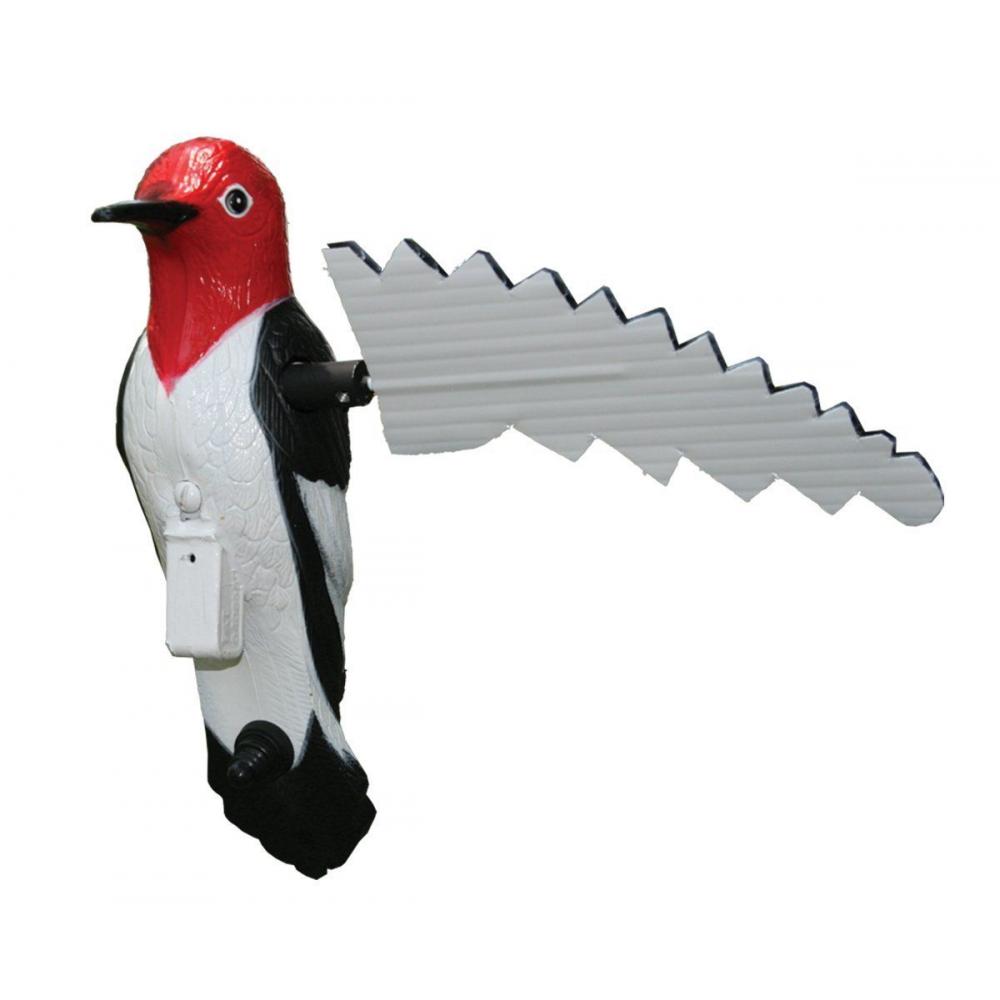 If you are looking Mojo Decoys Woodpecker-Predator Decoy - HW8104 you can buy to hunting_stuff, It is on sale at the best price