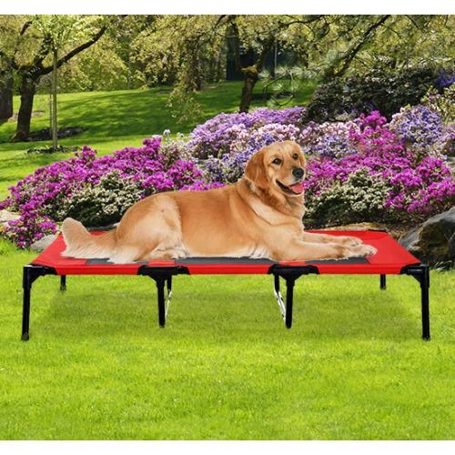 If you are looking XLarge 48" Dog Cat Pet Elevated Raised Bed Puppy Cot Oxford Outdoor Indoor you can buy to mhcorp, It is on sale at the best price