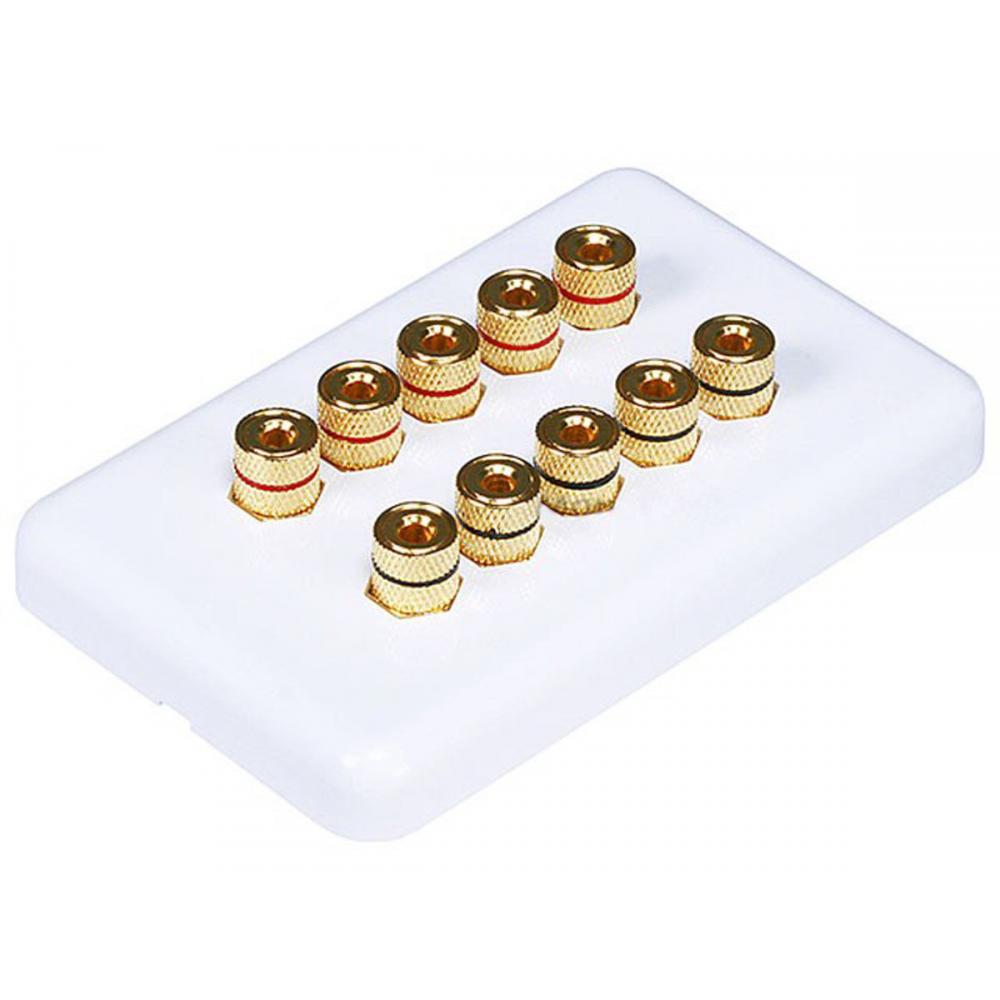 If you are looking Monoprice 3643 Banana Binding Post Wall Plate for 5 Speaker - Coupler Type you can buy to monoprice, It is on sale at the best price