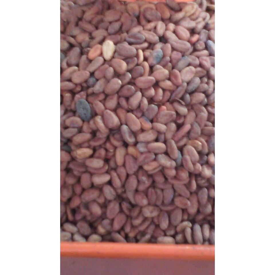  Si buscas Cacao En Grano Crudo. Solo $160.00 Kg puedes comprarlo con dulcesdosrios2011 está en venta al mejor precio