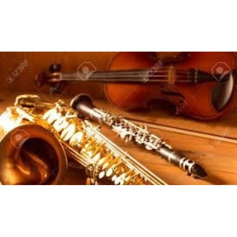  Si buscas Para sus eventos, violinistas y saxofonistas, rd!! puedes comprarlo con Diane está en venta al mejor precio