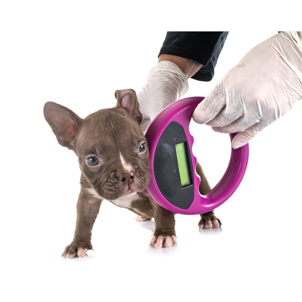  Si buscas Colocale el microchip a tu perro y viajá con tranquilidad puedes comprarlo con Diagnostico Plaza está en venta al mejor precio