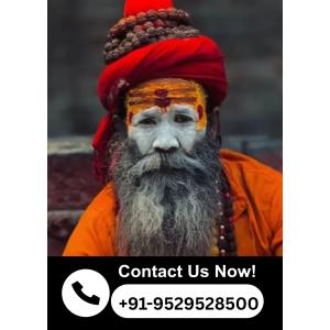 conoce a panditji500 en India 